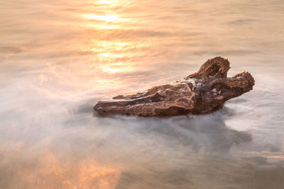 Rock on sea shore against sky during sunset