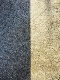 Full frame shot of cat