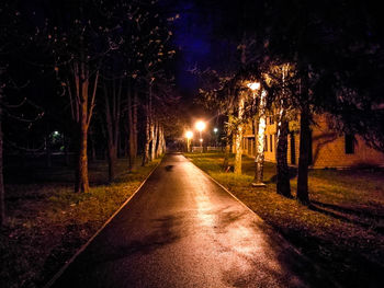 Illuminated road amidst bare trees at night