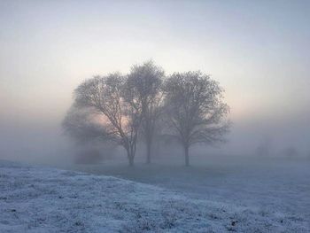 Scenic view of field in foggy weather