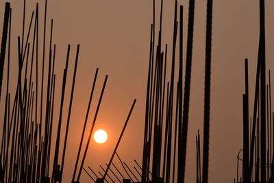 Silhouette plants against sky during sunset