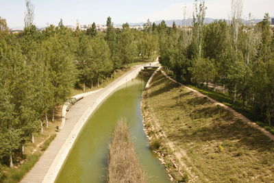 Stream amidst trees against sky