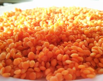 Close-up of tomatoes