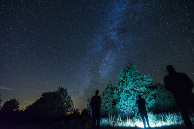 Silhouette people standing by tree against sky at night