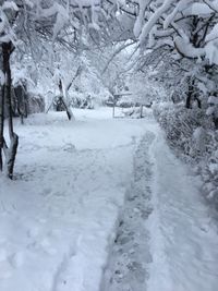 Scenic view of snow covered landscape