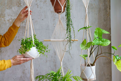 Woman holding macrame plant hanger with houseplant over grey wall. hobby, love of plants