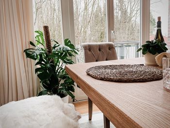 Potted plant on table at home