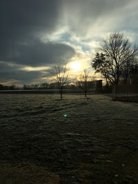 Bare trees on field against sky during sunset