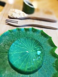 High angle view of leaf on table