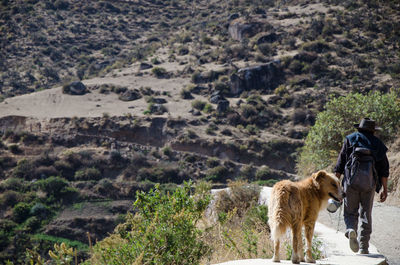 View of two people walking on land