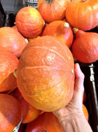 Close-up of hand holding pumpkins at market