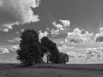 Trees on field against cloudy sky