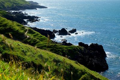 Scenic view of sea