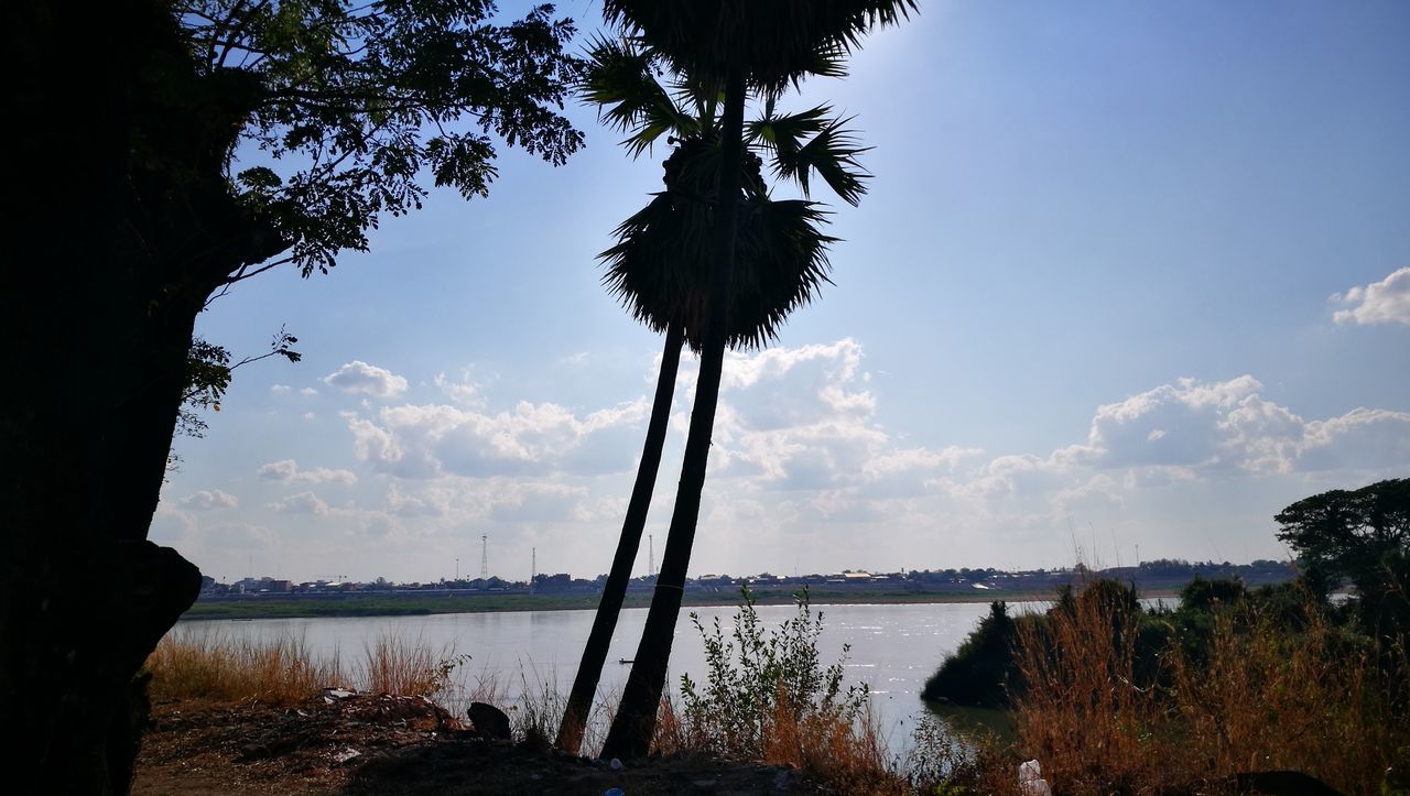 tree, sky, sunset, nature, water, silhouette, beauty in nature, outdoors, no people, sea, scenics, cloud - sky, tranquility, day