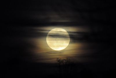 Low angle view of moon in sky