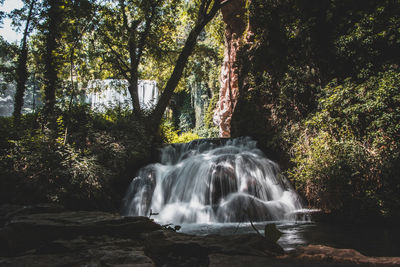 Scenic view of waterfall in forest