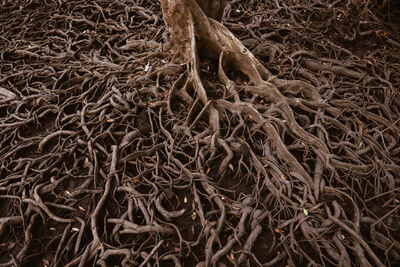 Full frame shot of fishing net