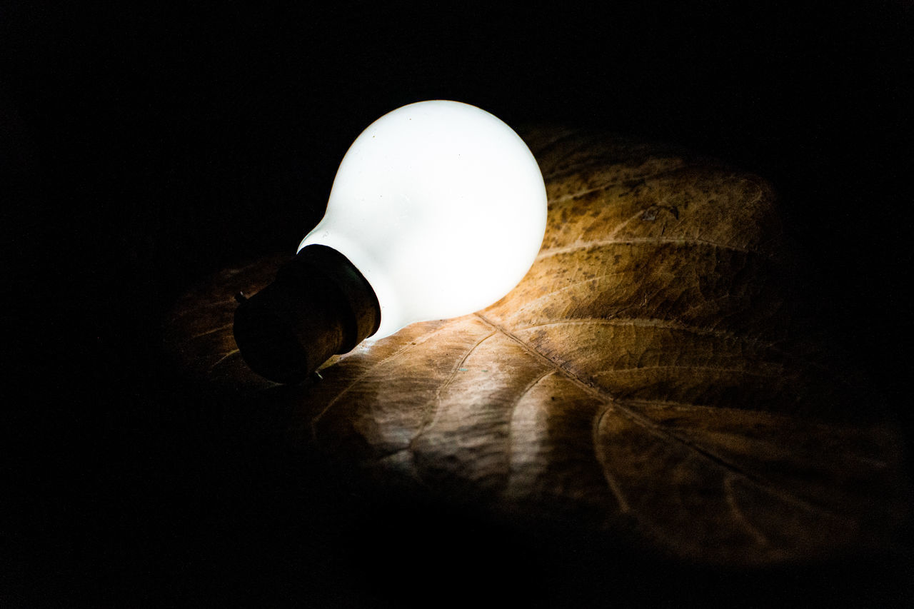 CLOSE-UP OF ILLUMINATED LIGHT BULB OVER BLACK BACKGROUND