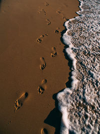 Footprints in the sand about to be erased