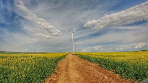 Scenic view of agricultural field against sky