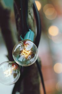 Close-up of illuminated light bulbs on tree