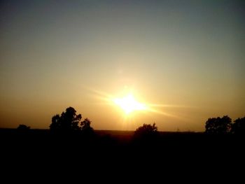 Silhouette of trees at sunset