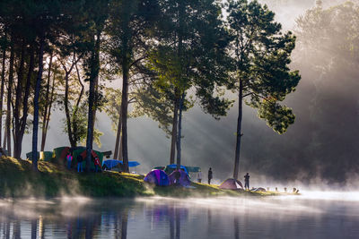 Woman camping by lake