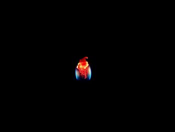 Close-up of illuminated red light in darkroom