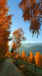 Scenic view of road during autumn