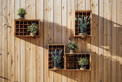 Potted plants on balcony of building