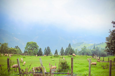 Scenic view of playground against sky