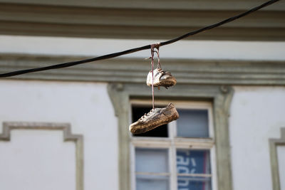 Close-up of dirty shoes hanging on cable