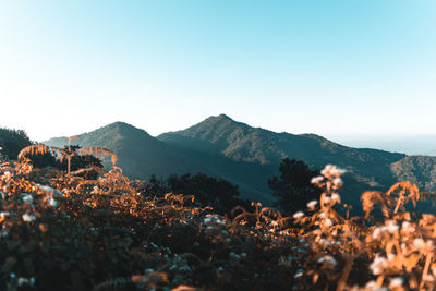 Scenic view of mountains against clear sky