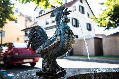 Close-up of bird perching on statue