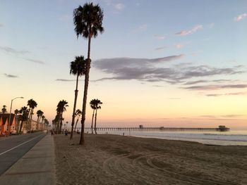 Palm trees on beach against sky during sunset