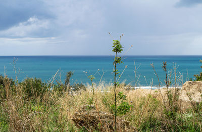 Scenic view of sea against sky