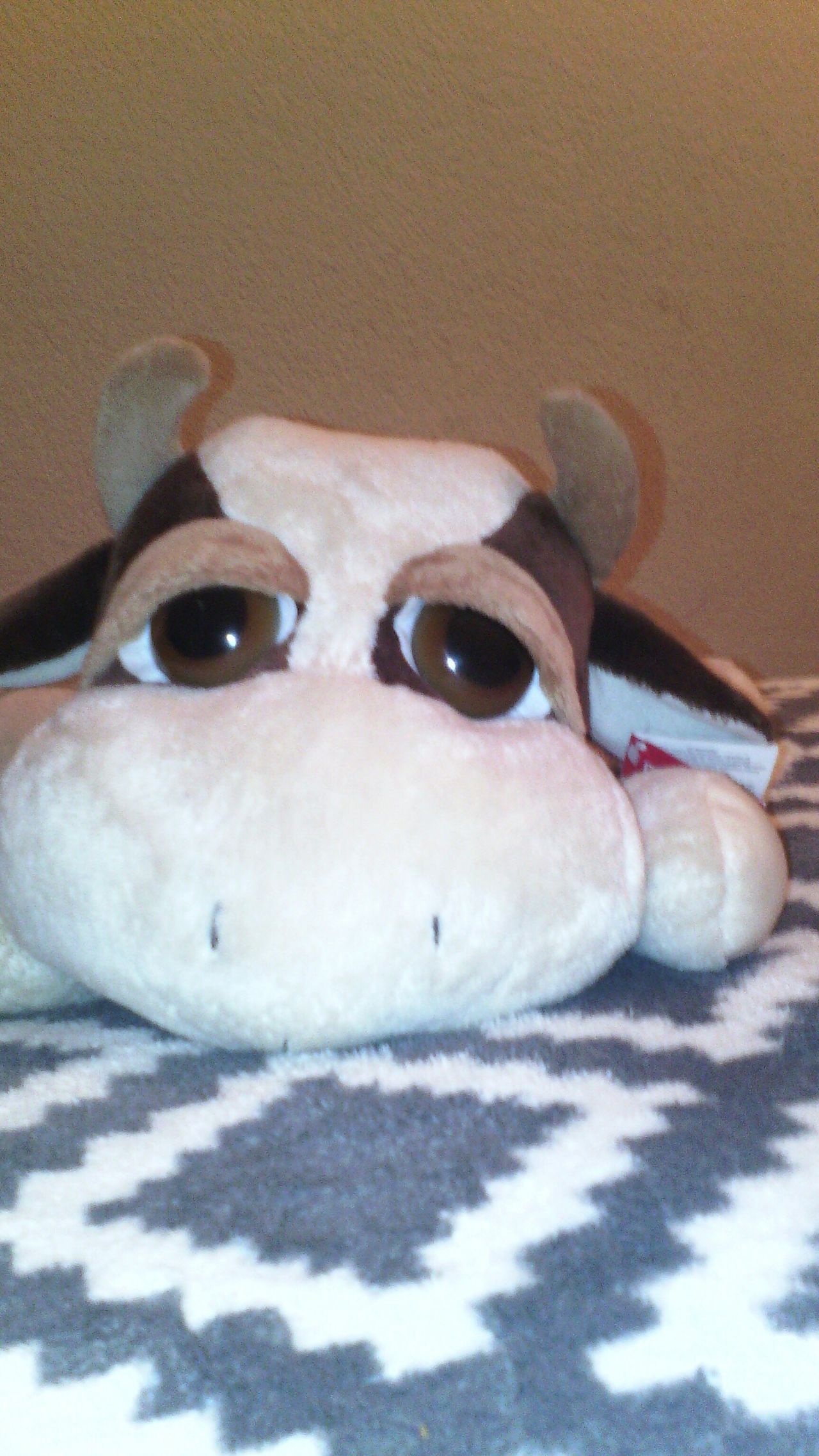 Cow toy