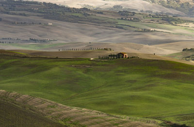 Scenic view of agricultural field