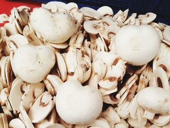 Close-up of garlic