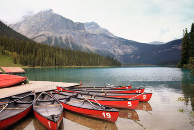 Canoes moored at emerald lake in yoho national park