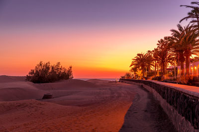 Scenic view of palm trees on landscape against sunset sky