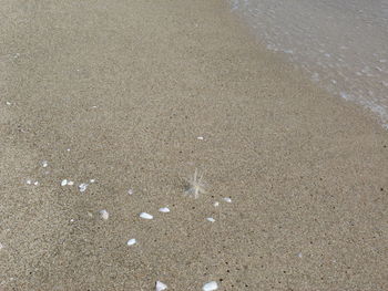 High angle view of wet sand on beach