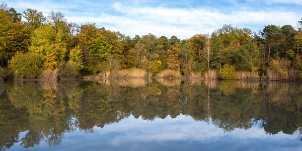 Scenic view of lake in forest during autumn