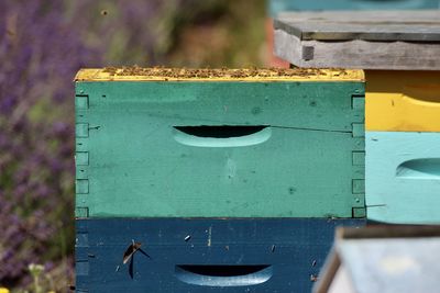 Close-up of beehive against blue background