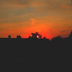 Silhouette trees against orange sky