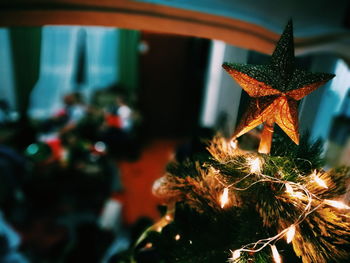 Close-up of christmas tree at night