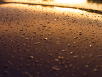 Close-up of water drops on sand