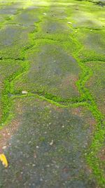 High angle view of field