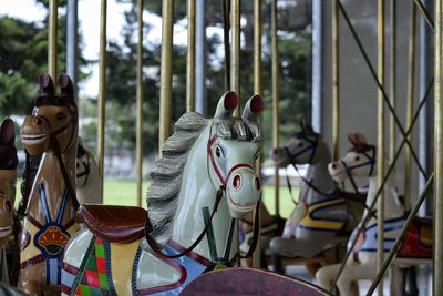 Carousel in amusement park