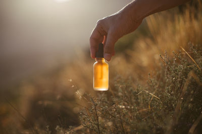 Close-up of hand holding bottle on field